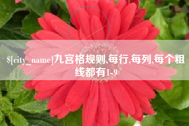 抚州九宫格规则,每行,每列,每个粗线都有1-9