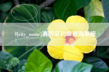 抚州消防证初级查询系统