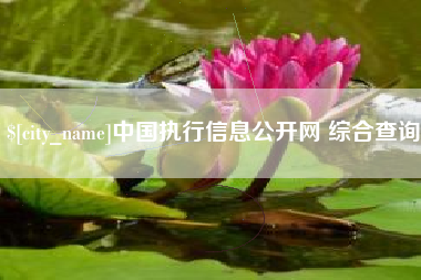 抚州中国执行信息公开网 综合查询