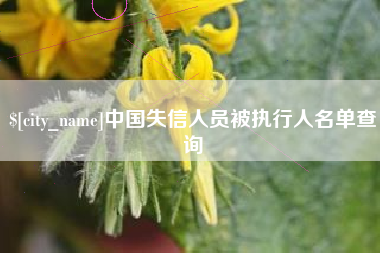 抚州中国失信人员被执行人名单查询