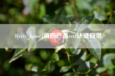 抚州消防产品cccf认证目录