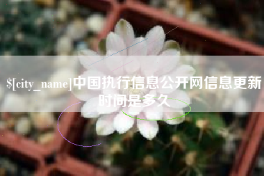 抚州中国执行信息公开网信息更新时间是多久