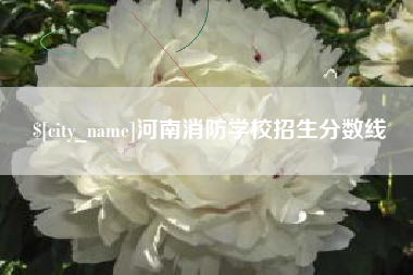 抚州河南消防学校招生分数线