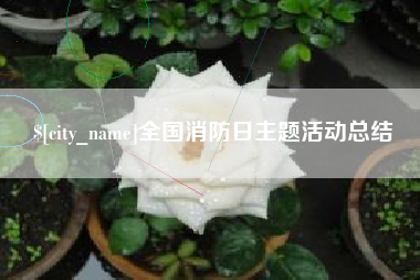 抚州全国消防日主题活动总结