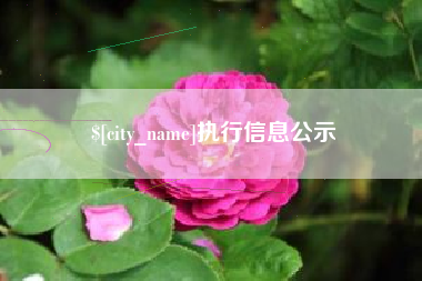 抚州执行信息公示