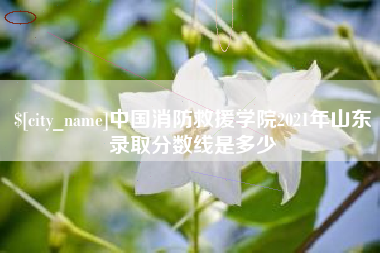 抚州中国消防救援学院2021年山东录取分数线是多少