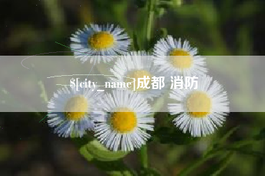 抚州成都 消防