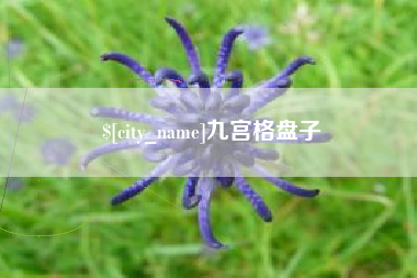 抚州九宫格盘子