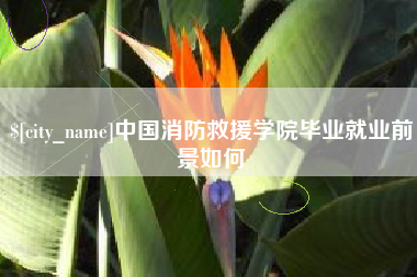 抚州中国消防救援学院毕业就业前景如何