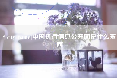 抚州中国执行信息公开网是什么东西
