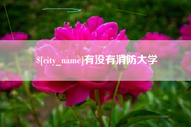 抚州有没有消防大学