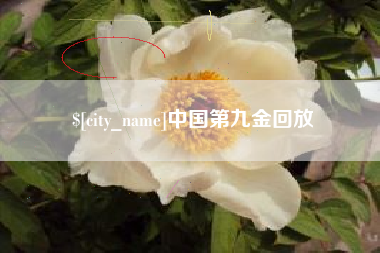 抚州中国第九金回放