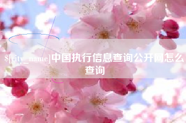 抚州中国执行信息查询公开网怎么查询