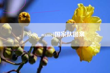 抚州国家队图案