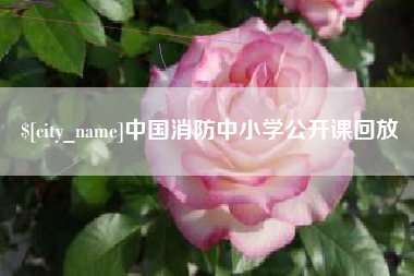 抚州中国消防中小学公开课回放