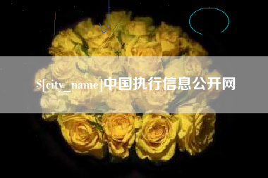 抚州中国执行信息公开网