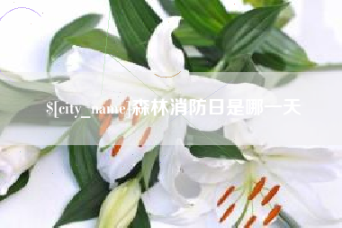 抚州森林消防日是哪一天