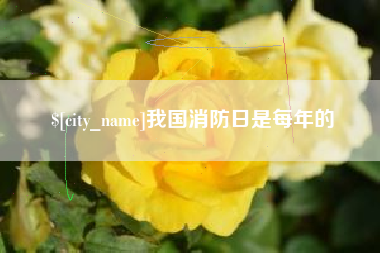 抚州我国消防日是每年的