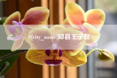 抚州邱县王子磊