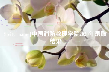 抚州中国消防救援学院2020年录取结果