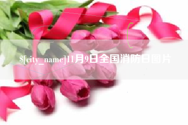 抚州11月9日全国消防日图片