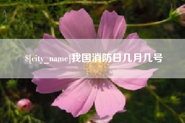 抚州我国消防日几月几号