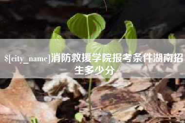 抚州消防救援学院报考条件湖南招生多少分