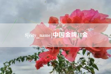 抚州中国金牌18金