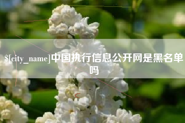 抚州中国执行信息公开网是黑名单吗