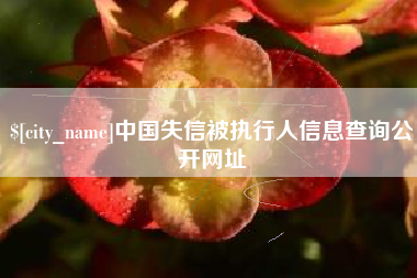 抚州中国失信被执行人信息查询公开网址