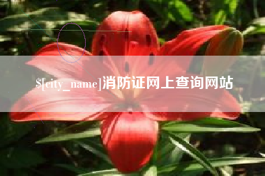 抚州消防证网上查询网站