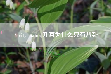 抚州九宫为什么只有八卦