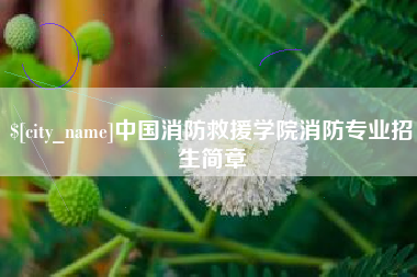 抚州中国消防救援学院消防专业招生简章