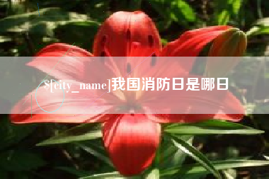 抚州我国消防日是哪日