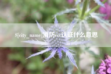 抚州消防ccc认证什么意思