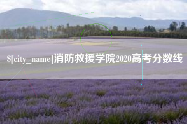抚州消防救援学院2020高考分数线