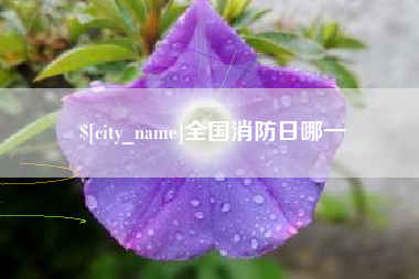 抚州全国消防日哪一