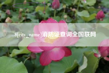 抚州消防证查询全国联网