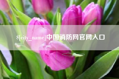 抚州中国消防网官网入口