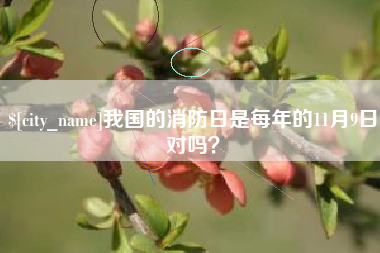 抚州我国的消防日是每年的11月9日对吗？