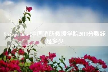 抚州中国消防救援学院2018分数线是多少
