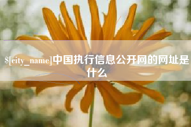 抚州中国执行信息公开网的网址是什么