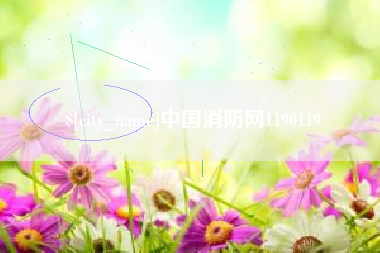 抚州中国消防网1190119