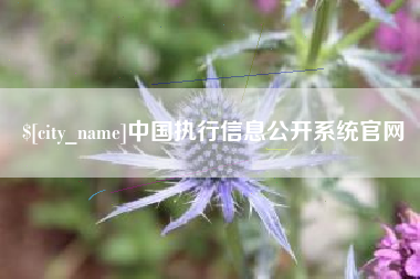 抚州中国执行信息公开系统官网