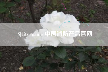 抚州中国消防产品官网