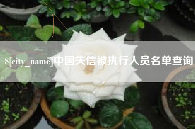 抚州中国失信被执行人员名单查询