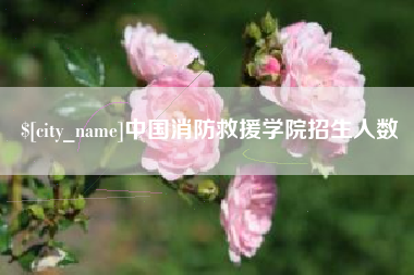 抚州中国消防救援学院招生人数