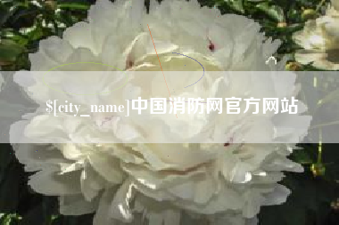 抚州中国消防网官方网站
