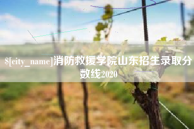抚州消防救援学院山东招生录取分数线2020