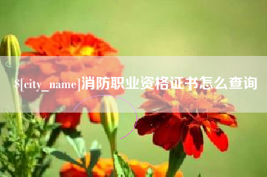 抚州消防职业资格证书怎么查询